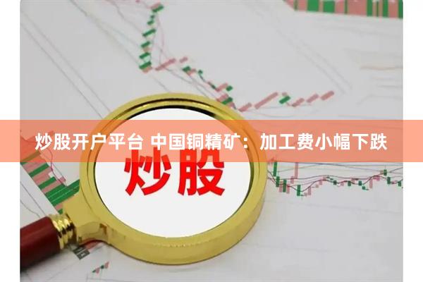 炒股开户平台 中国铜精矿：加工费小幅下跌