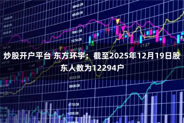 炒股开户平台 东方环宇：截至2025年12月19日股东人数为12294户