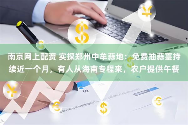 南京网上配资 实探郑州中牟蒜地：免费抽蒜薹持续近一个月，有人从海南专程来，农户提供午餐